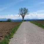 Mangfall