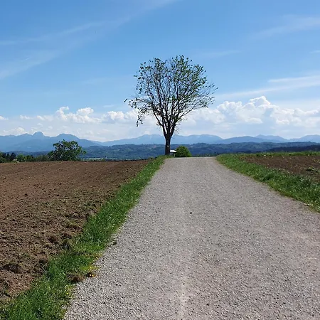 Mangfall