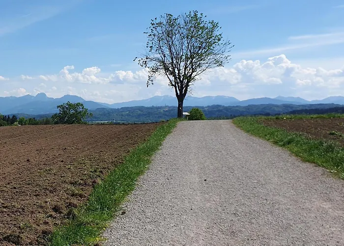 Mangfall